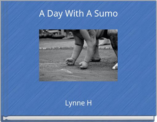 A Day With A Sumo