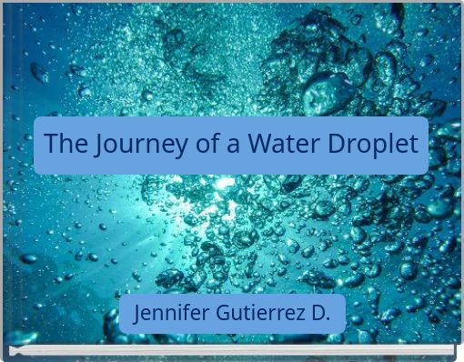 The Journey of a Water Droplet