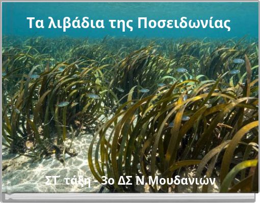 Tα λιβάδια της Ποσειδωνίας