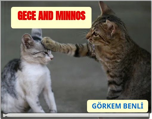 Front cover of 'GECE AND MINNOS' 