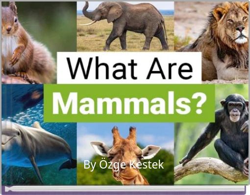 Different Animals