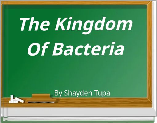 The Kingdom Of Bacteria