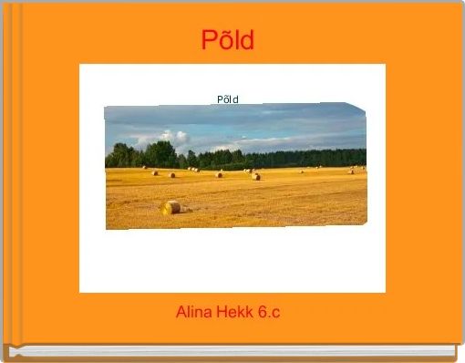 Põld 