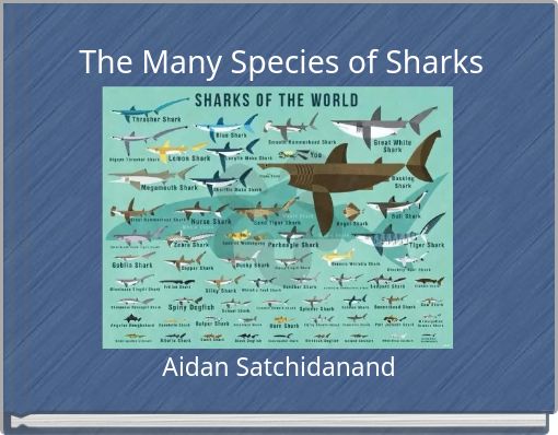 The Many Species of Sharks