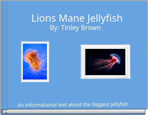 Lions Mane Jellyfish