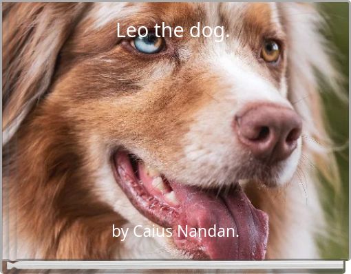 Leo the dog.