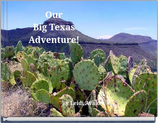Our Big Texas Adventure!