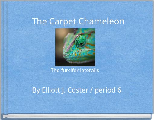 The Carpet Chameleon