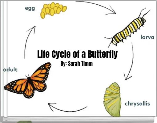 Life Cycle of a Butterfly