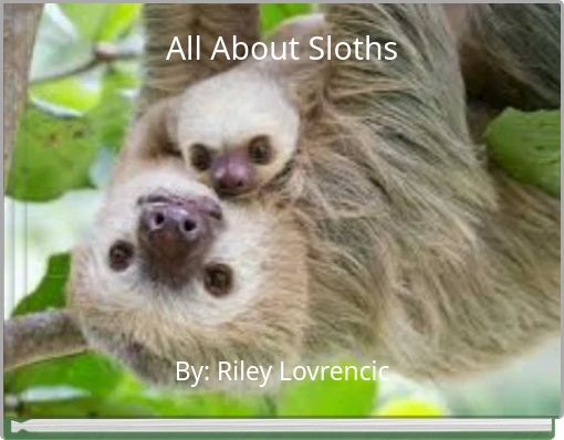 All About Sloths
