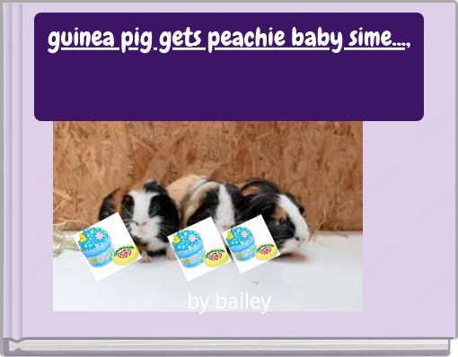 guinea pig gets peachie baby sime...,