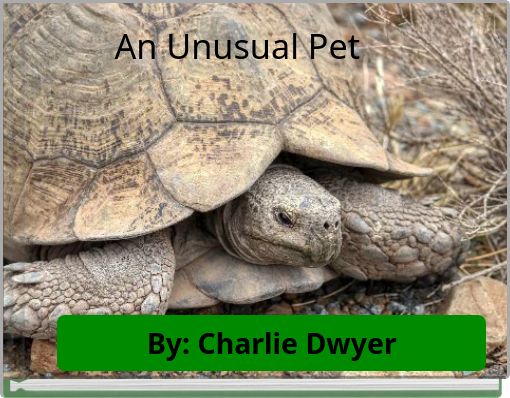 An Unusual Pet