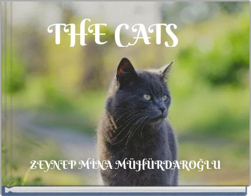THE CATS