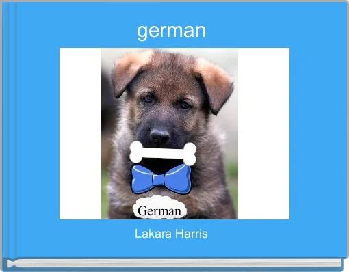 Front cover of 'german ' 