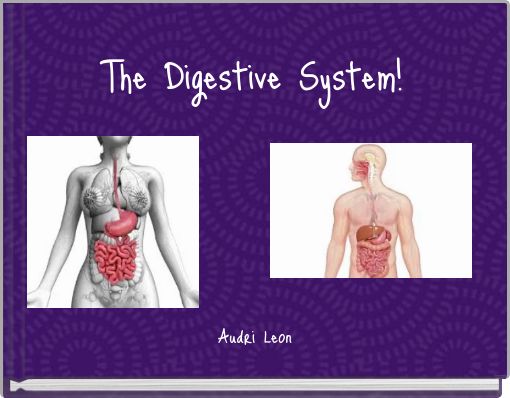 The Digestive System!