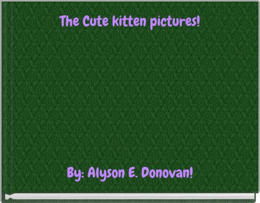 Book Cover for: The Cute kitten pictures!