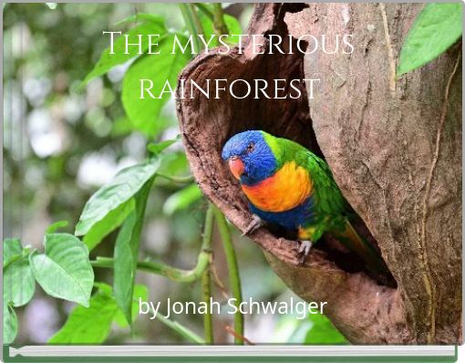 The mysterious rainforest