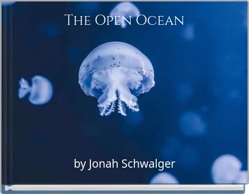 The Open Ocean