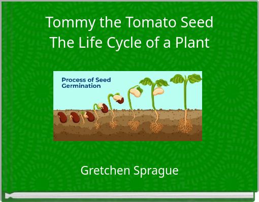 Tommy the Tomato Seed The Life Cycle of a Plant