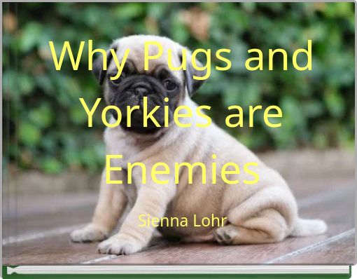Why Pugs and Yorkies are Enemies