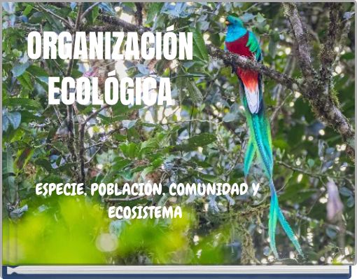 ORGANIZACI&Oacute;N ECOL&Oacute;GICA