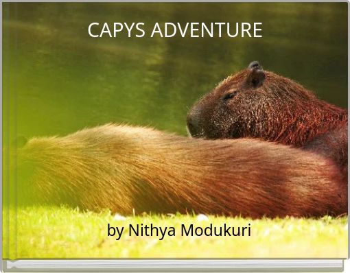 CAPYS ADVENTURE