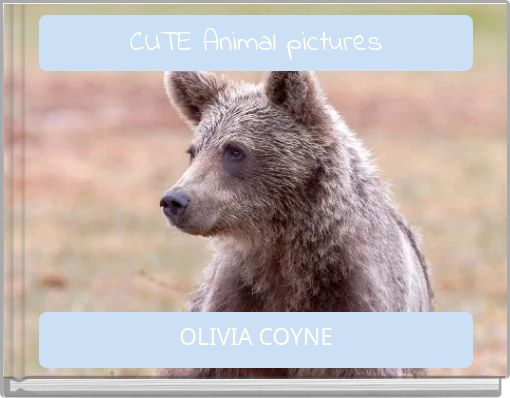 CUTE Animal pictures
