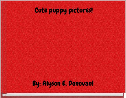 Cute puppy pictures!