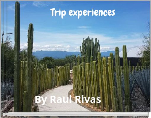 Trip experiences