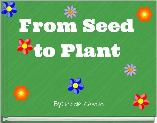 From Seed to Plant