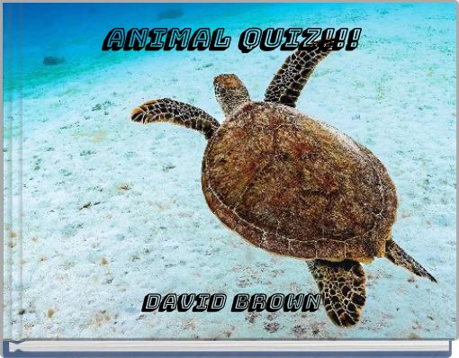Animal Quiz!!!