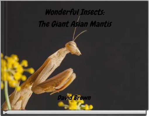 Wonderful Insects: The Giant Asian Mantis