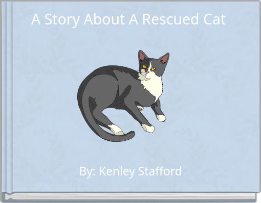 A Story About A Rescued Cat