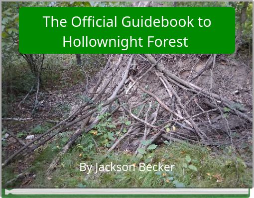 The Official Guidebook to Hollownight Forest