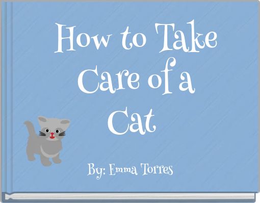 How to Take Care of a Cat