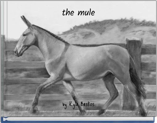the mule