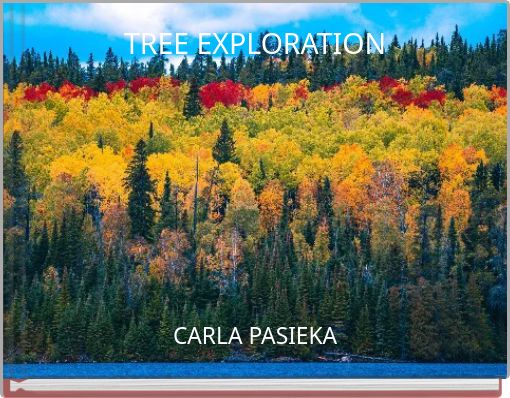 TREE EXPLORATION