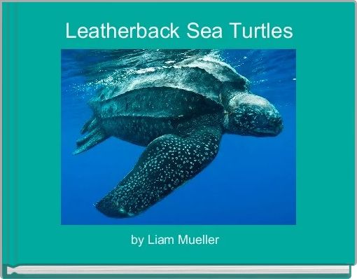 Leatherback Sea Turtles