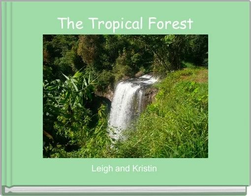 The Tropical Forest