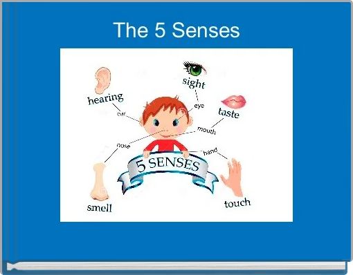 Front cover of 'The 5 Senses' 
