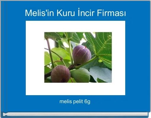 Melis'in Kuru İncir Firması