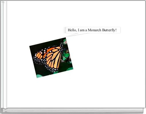 Monarch Butterfly