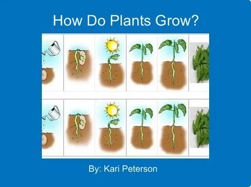 How Do Plants Grow?" - Free stories online. Create books for kids |  StoryJumper