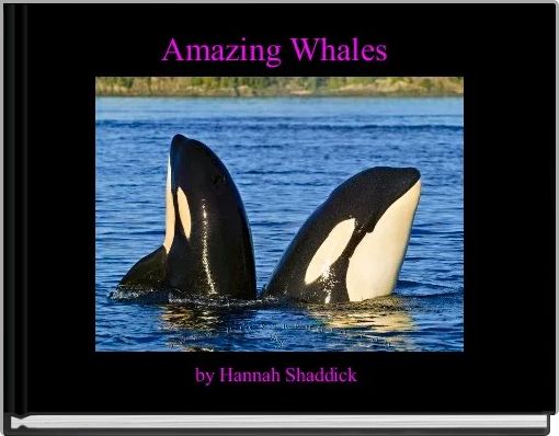 Front cover of 'Amazing Whales ' 
