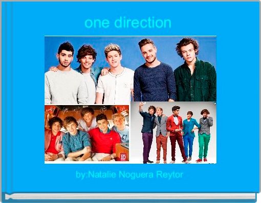Book Cover for: one direction 