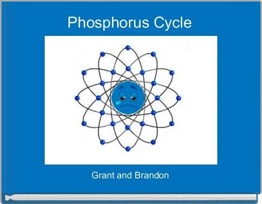Phosphorus Cycle 