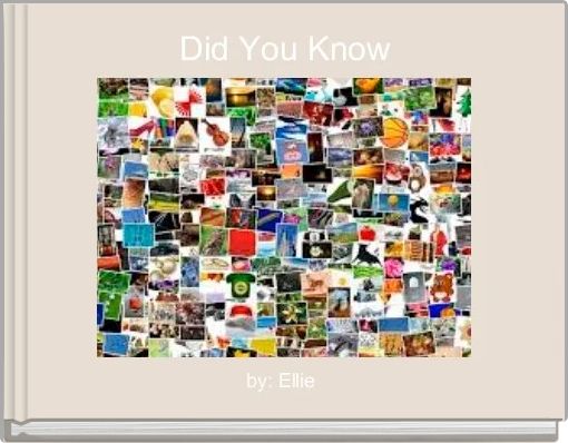 Front cover of 'Did You Know' 