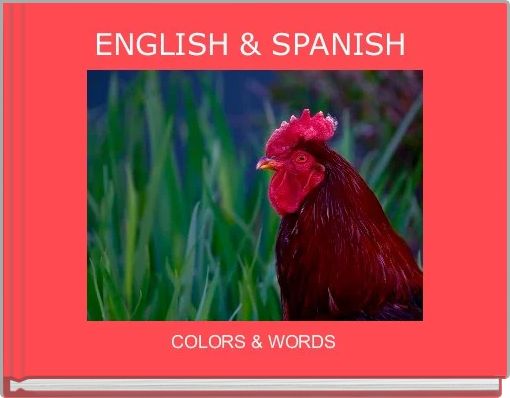 Front cover of 'ENGLISH & SPANISH ' 