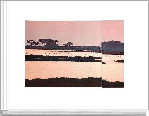 Embarca&ccedil;&otilde;es tradicionais de Set&uacute;bal 