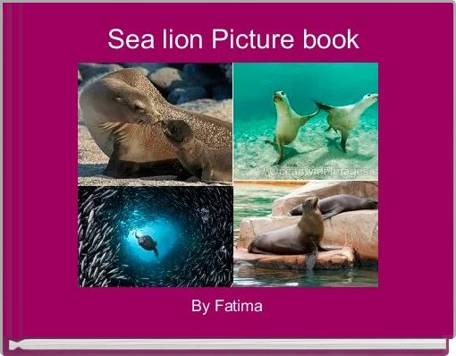 Sea lion Picture book